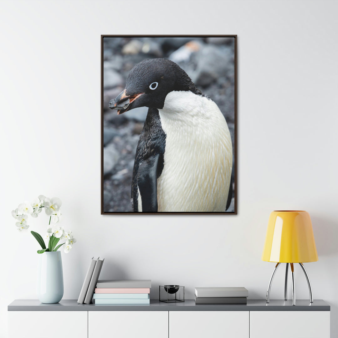 A Penguin's Pebble - Canvas with Frame