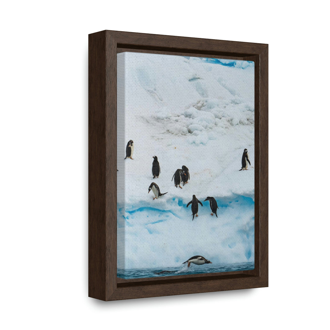 Porpoising Penguin - Canvas with Frame