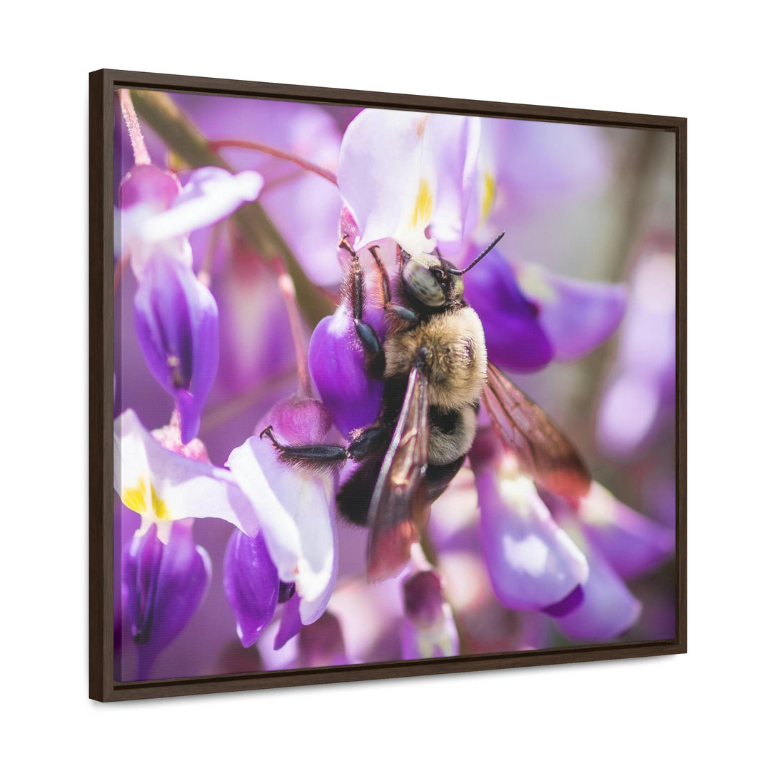 Hungry Visitor - Canvas with Frame