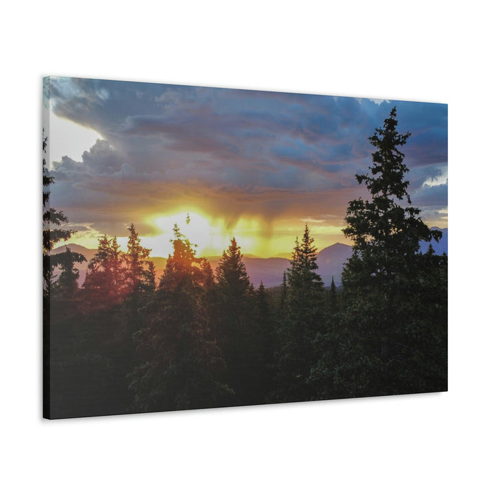 Rainy Sunset Through the Trees - Canvas