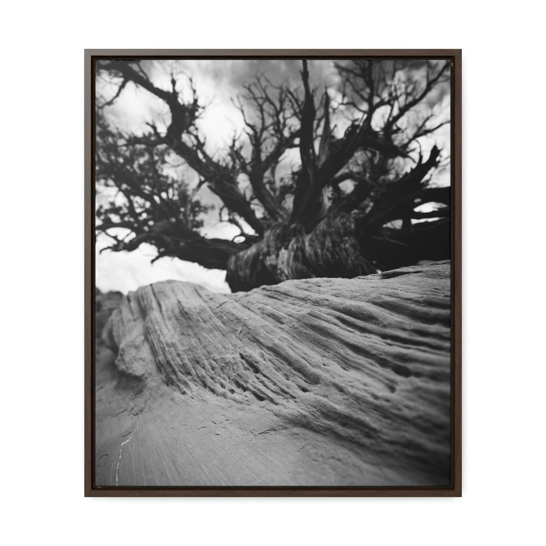 Desert Reach in Black and White - Canvas with Frame