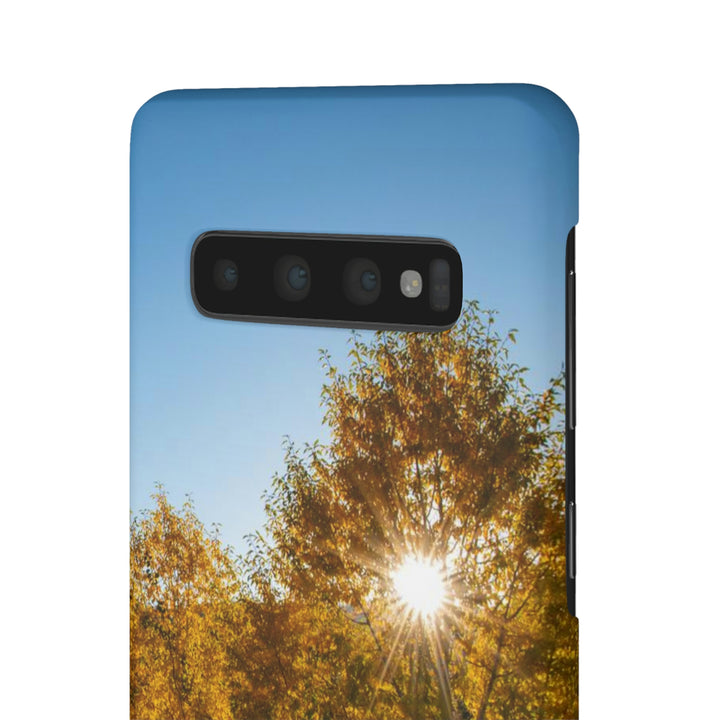 Sun Through the Aspens - Phone Case