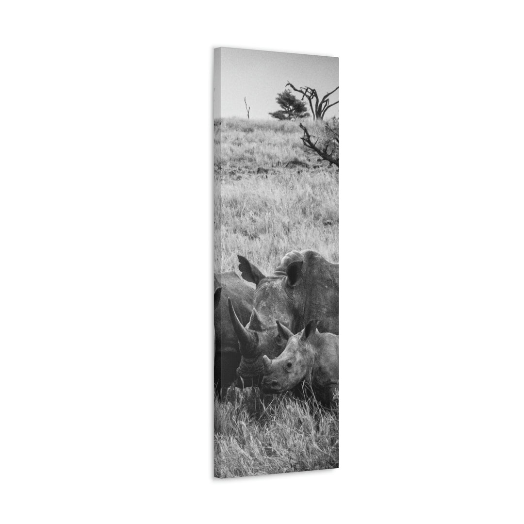 Rhino Family in Black and White - Canvas