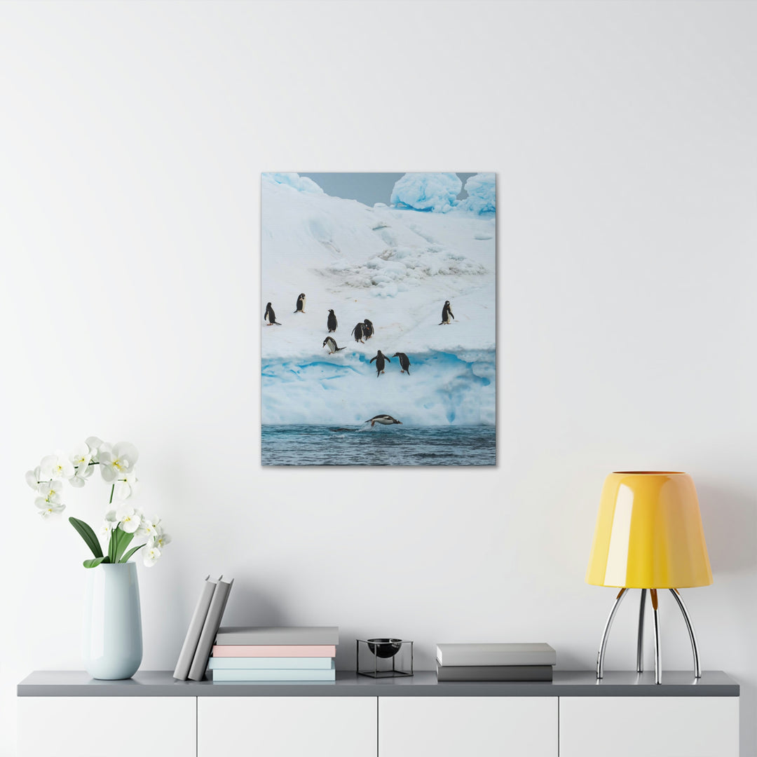 Porpoising Penguin - Canvas