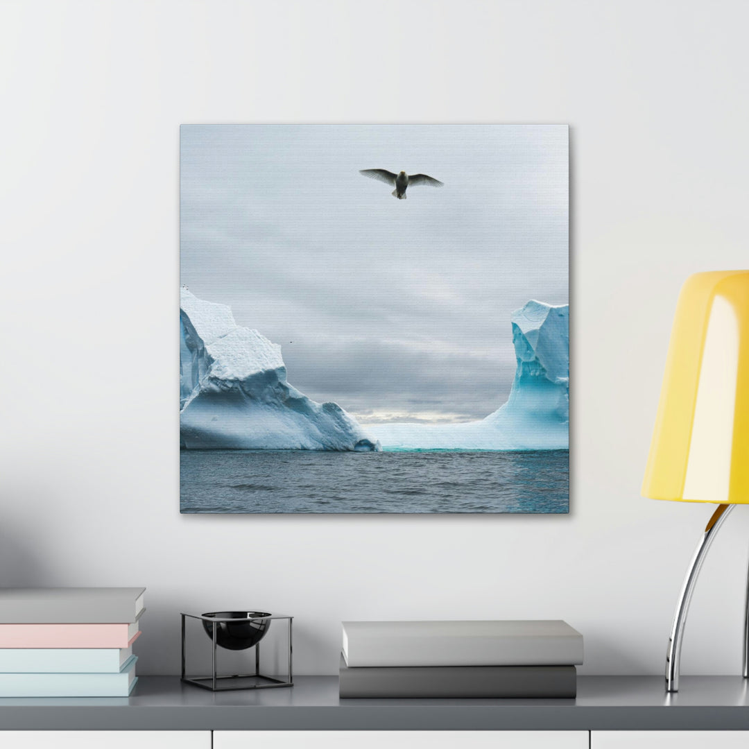 Antarctic Flight - Canvas