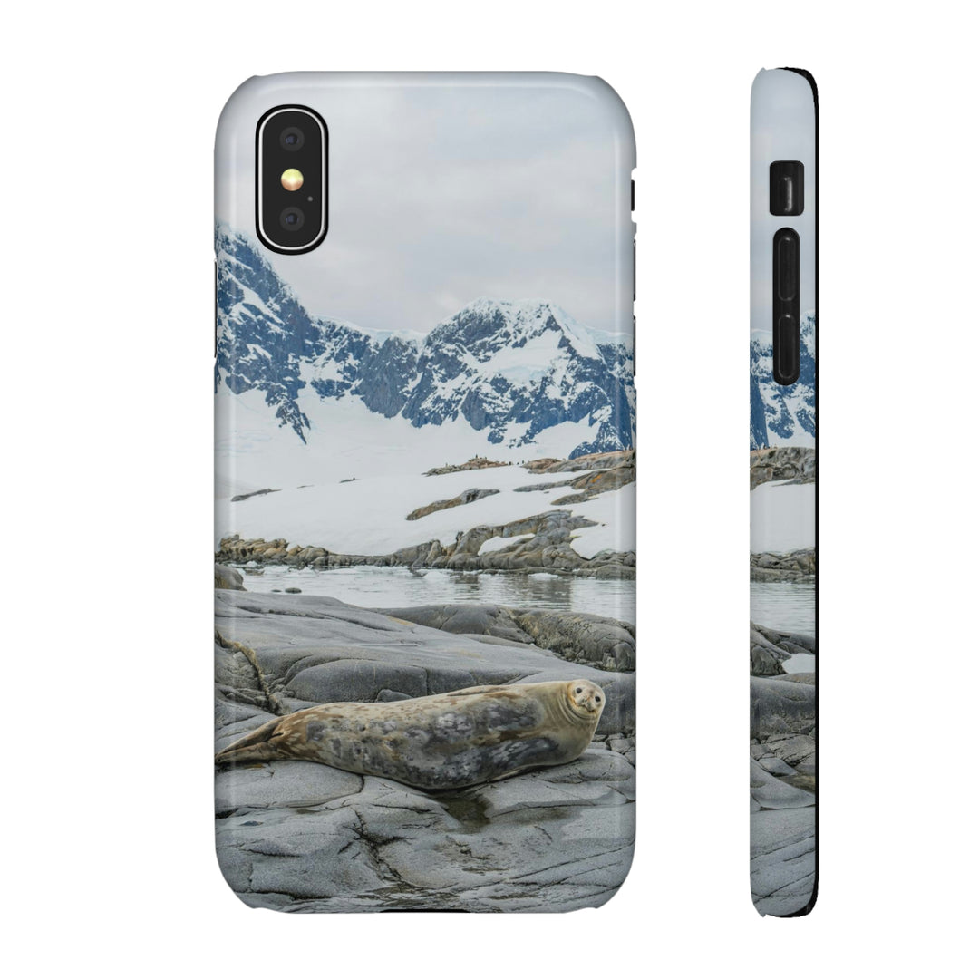 Weddell Relaxing - Phone Case