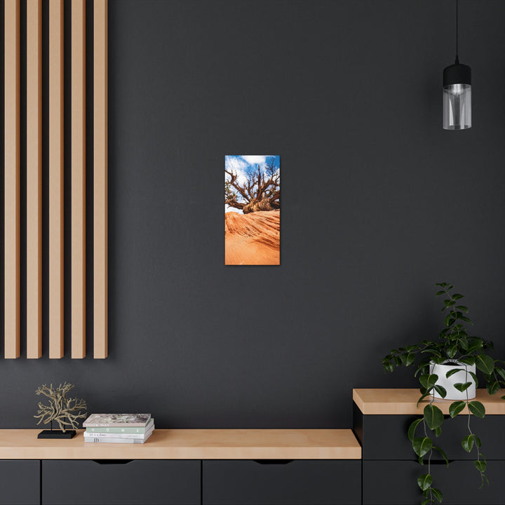 Desert Reach - Canvas