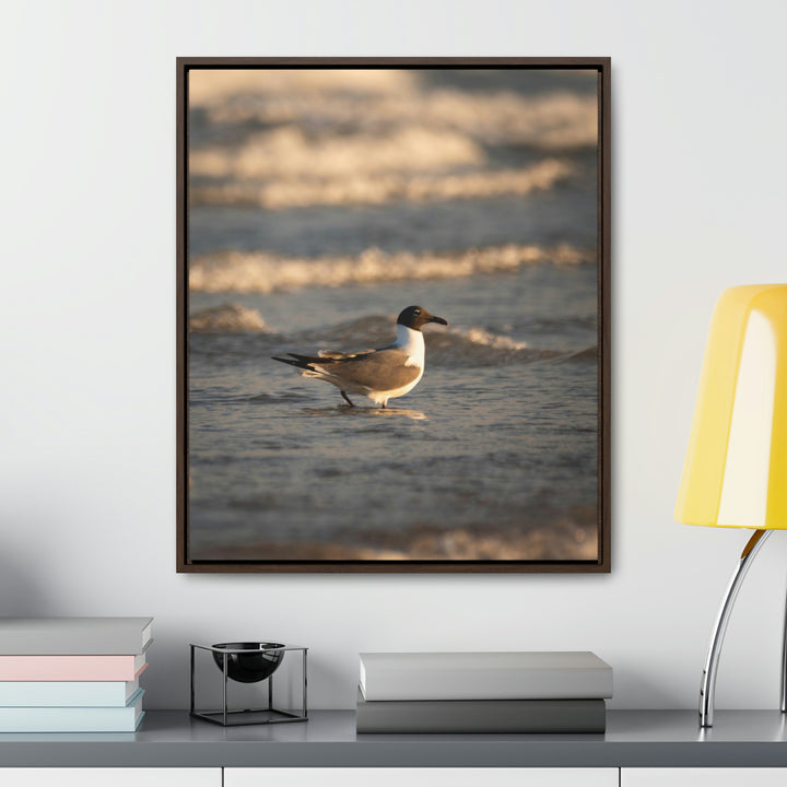 Laughing Gull in the Surf - Canvas with Frame