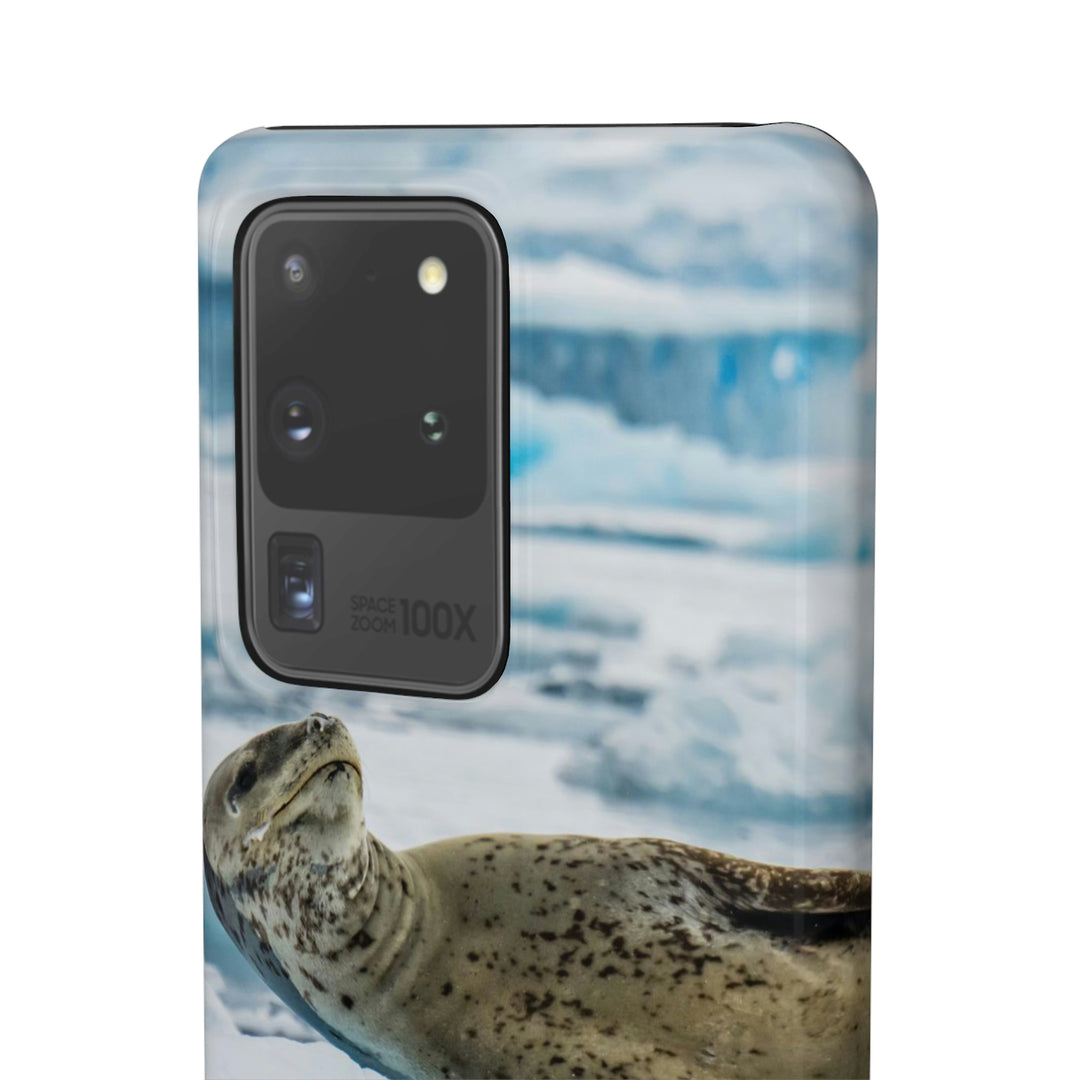 Leopard Seal Relaxing - Phone Case