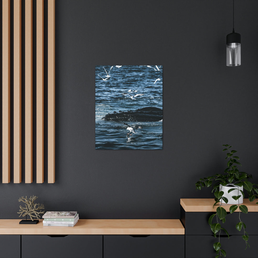 Humpback Hello - Canvas