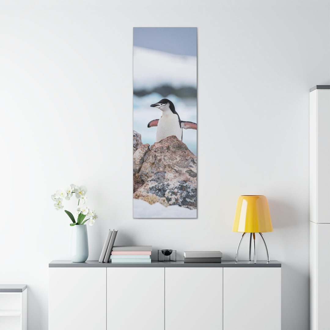 Stretched Penguin - Canvas