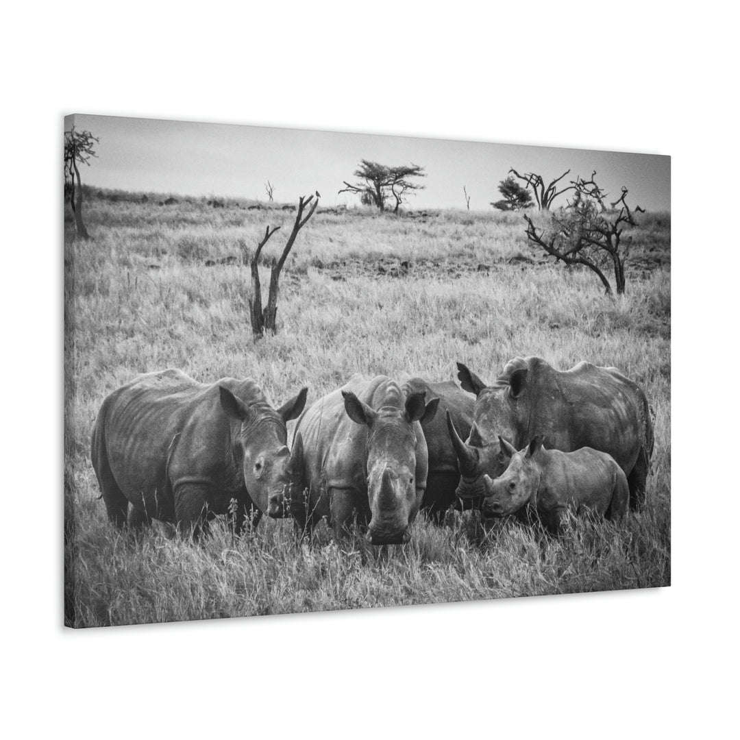 Rhino Family in Black and White - Canvas