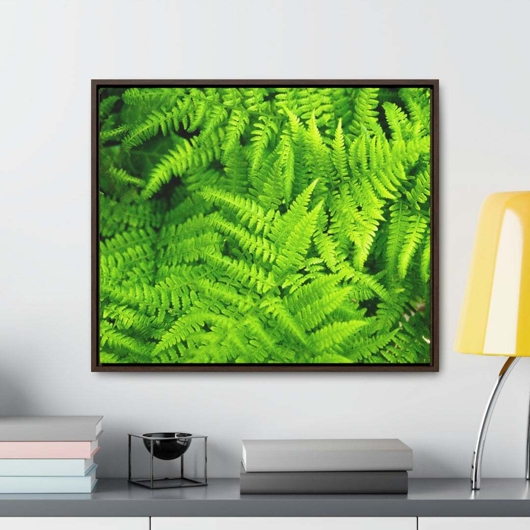 Ferns, Ferns, Ferns - Canvas with Frame