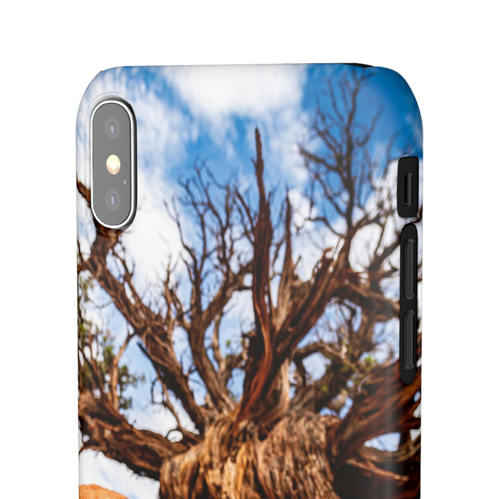 Desert Reach - Phone Case