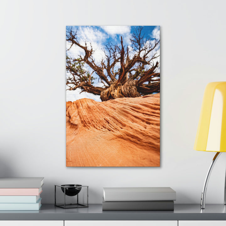 Desert Reach - Canvas