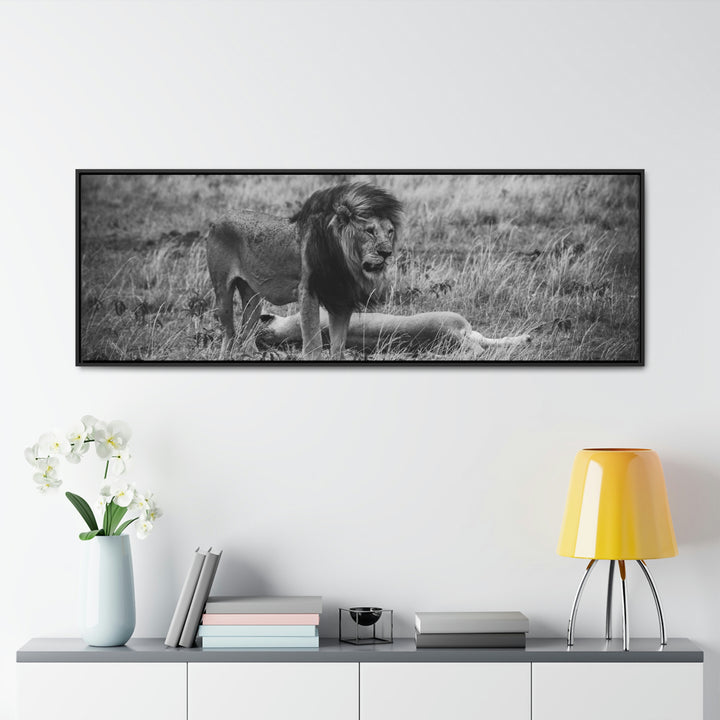 Mating Lions in Black and White - Canvas with Frame