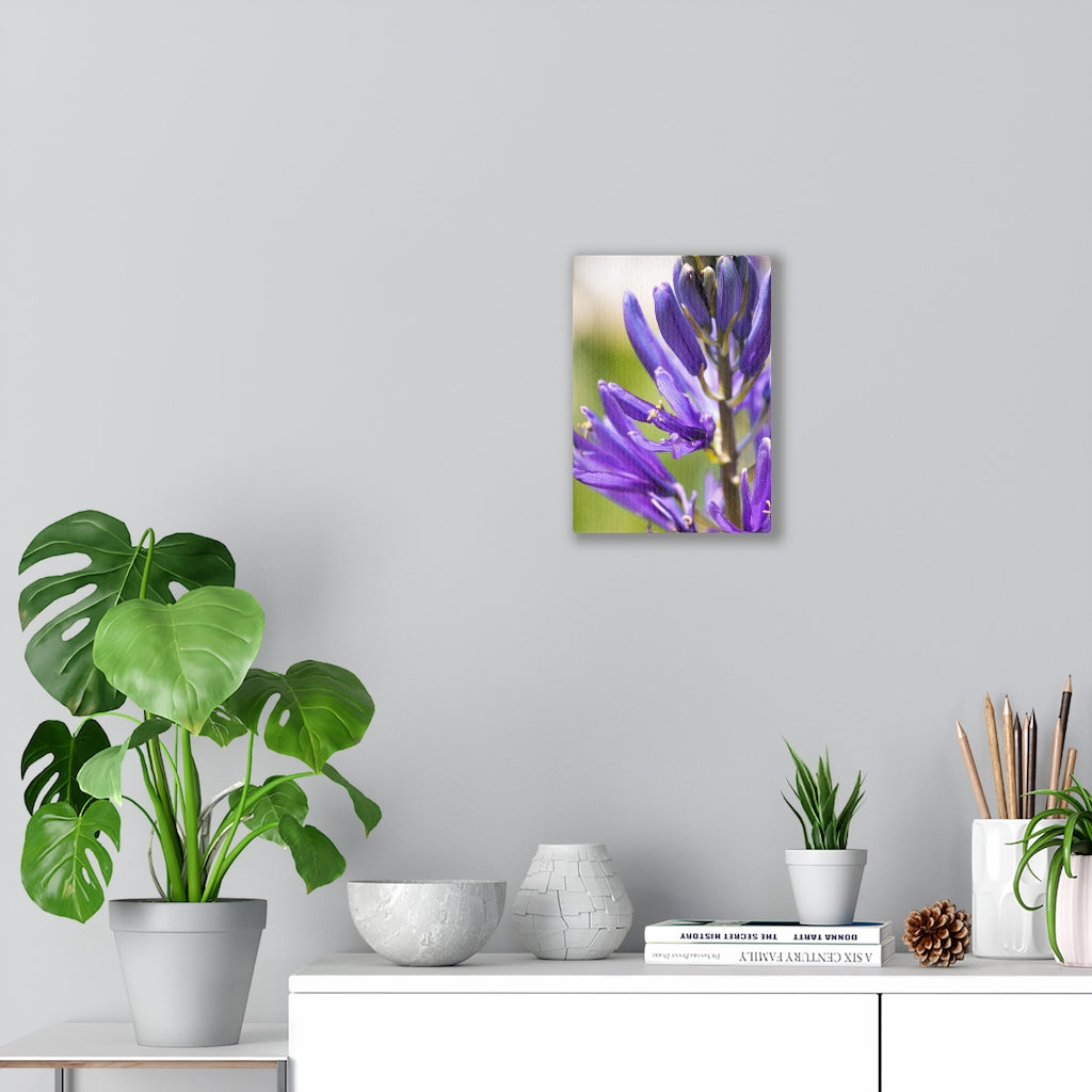 Camas in Bloom - Canvas