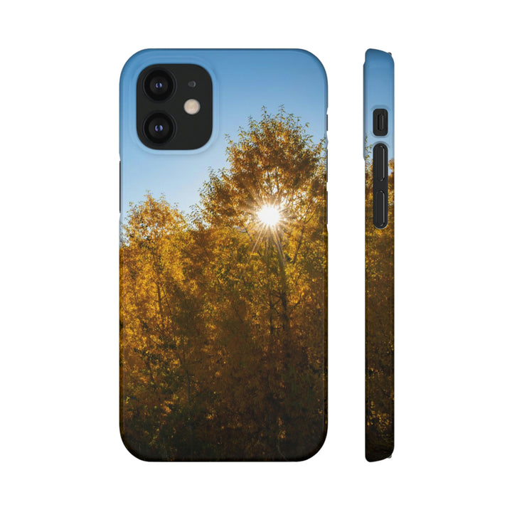 Sun Through the Aspens - Phone Case