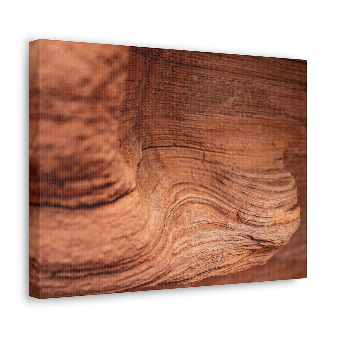 Sedimentary Rock Curves - Canvas