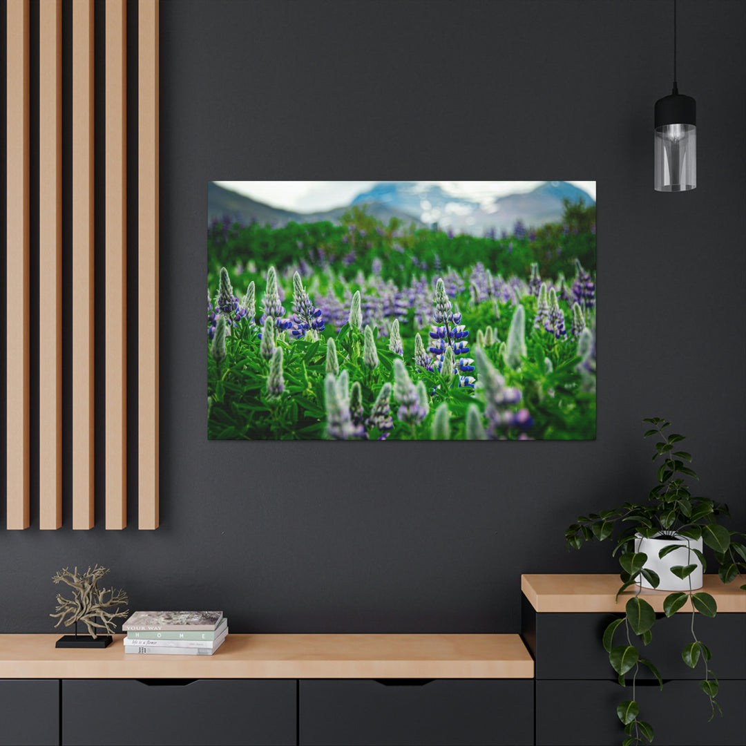 Glowing Lupin with Mountains - Canvas