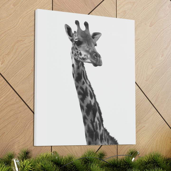 Giraffe Portrait in Black and White  - Canvas