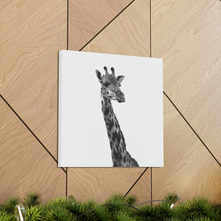 Giraffe Portrait in Black and White  - Canvas