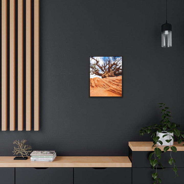 Desert Reach - Canvas with Frame