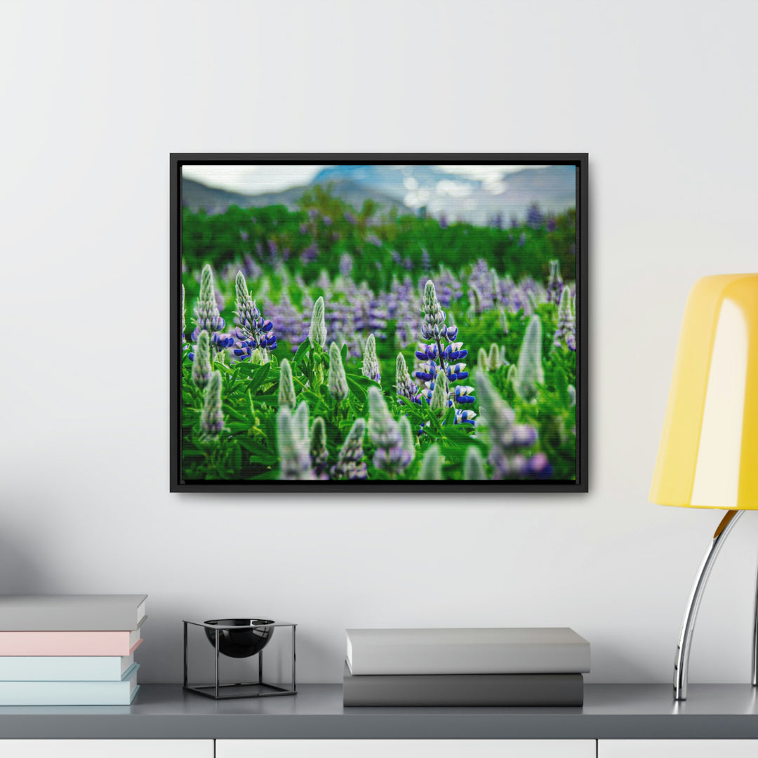 Glowing Lupin with Mountains - Canvas with Frame