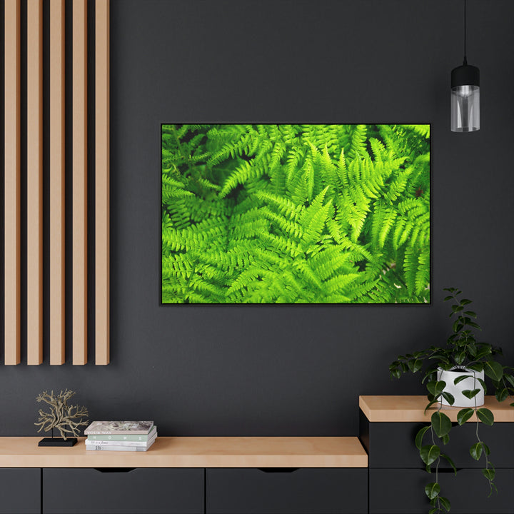 Ferns, Ferns, Ferns - Canvas with Frame