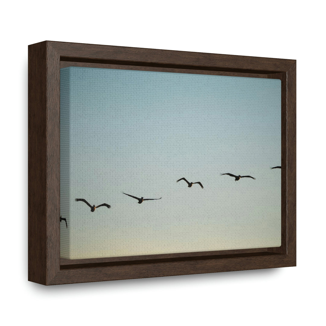 Brown Pelicans in Flight - Canvas with Frame