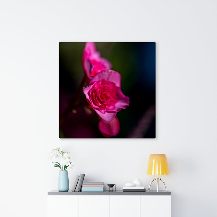 Hybrid Tea Lily - Canvas