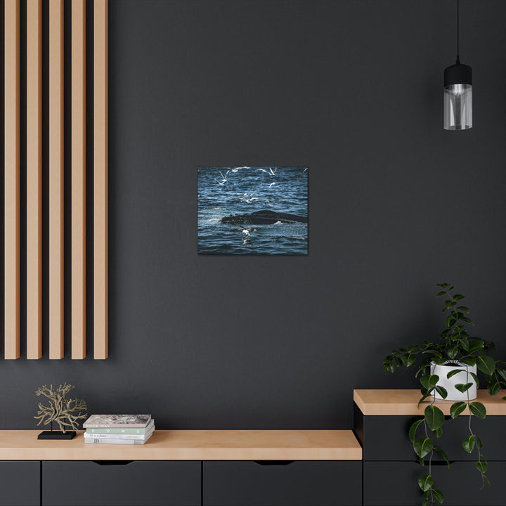 Humpback Hello - Canvas