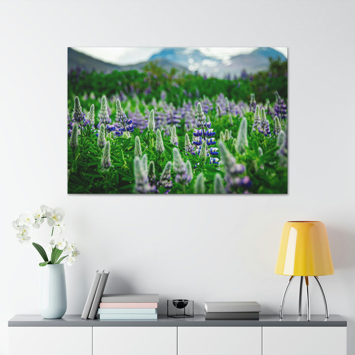 Glowing Lupin with Mountains - Canvas