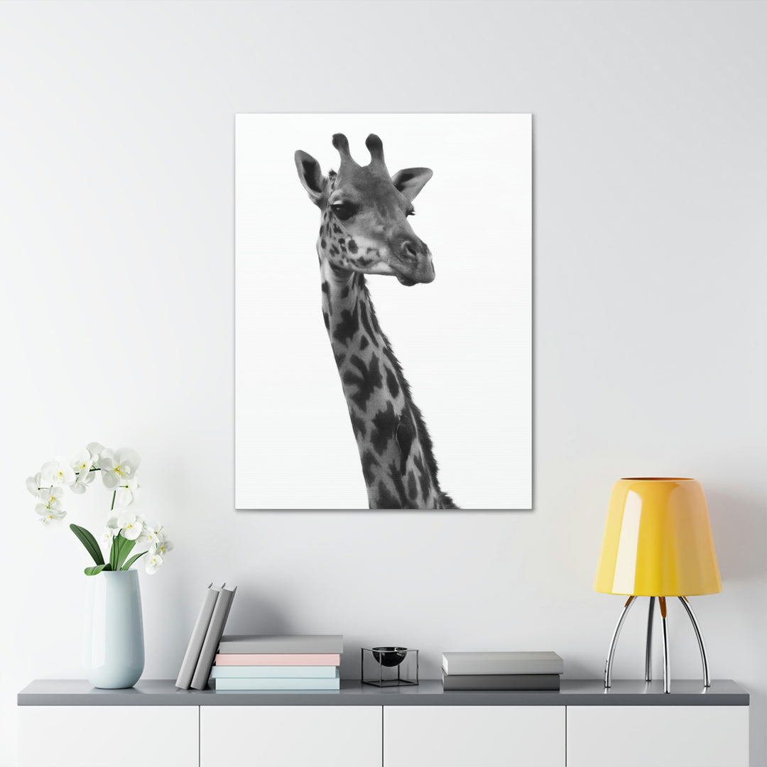 Giraffe Portrait in Black and White  - Canvas