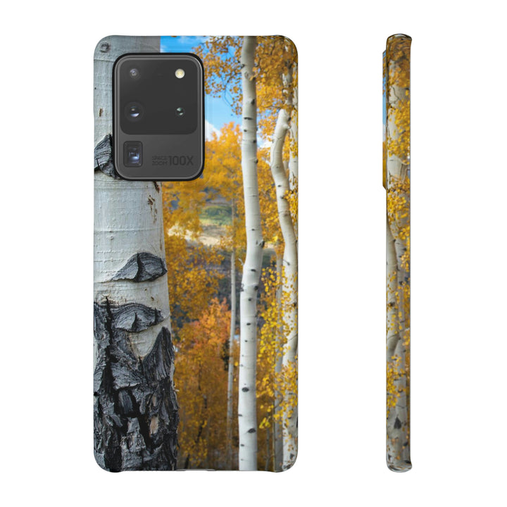 Aspens Changing - Phone Case