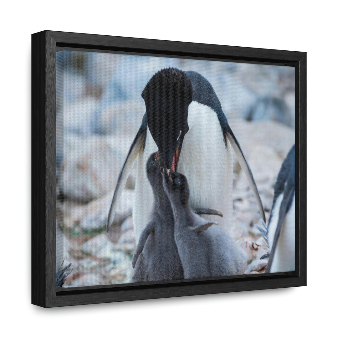 Feeding Time - Canvas with Frame