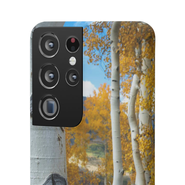 Aspens Changing - Phone Case