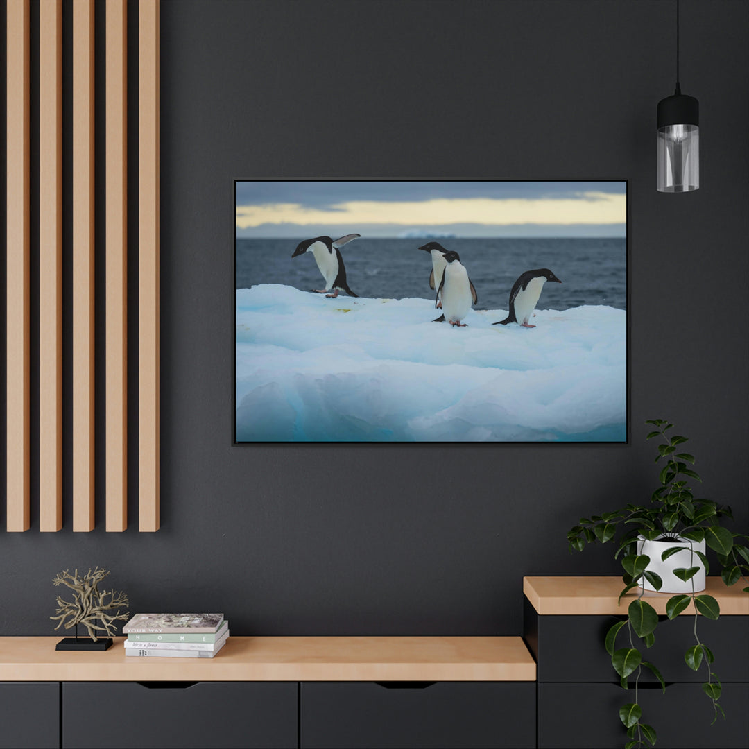 Penguin Dance - Canvas with Frame