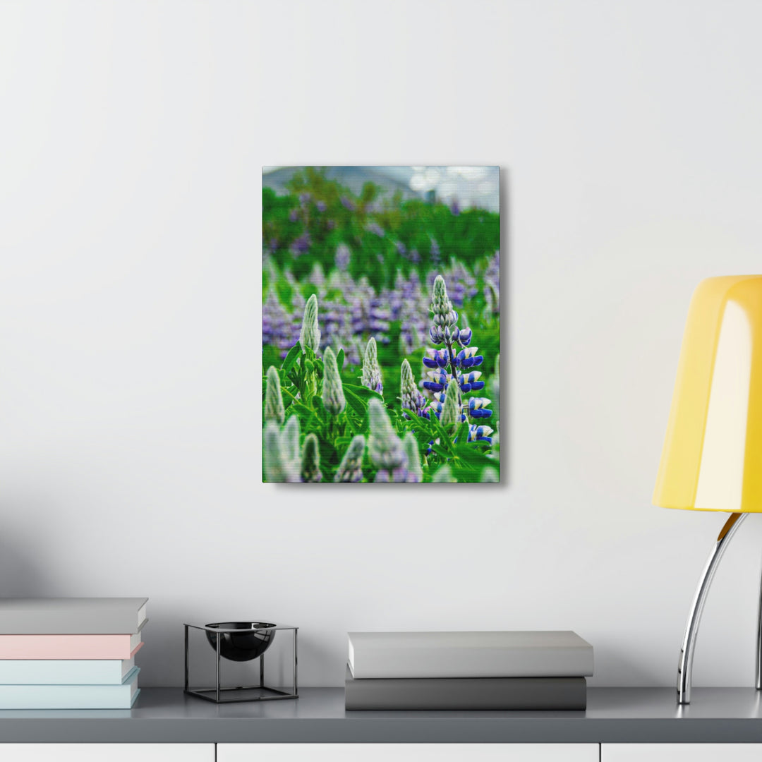 Glowing Lupin with Mountains - Canvas