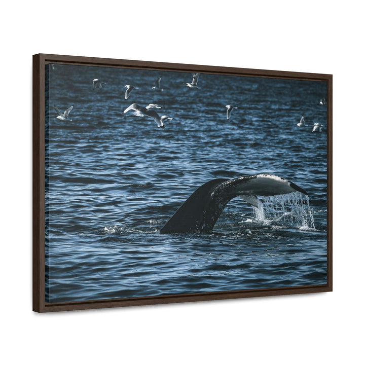 Feeding Tail - Canvas with Frame