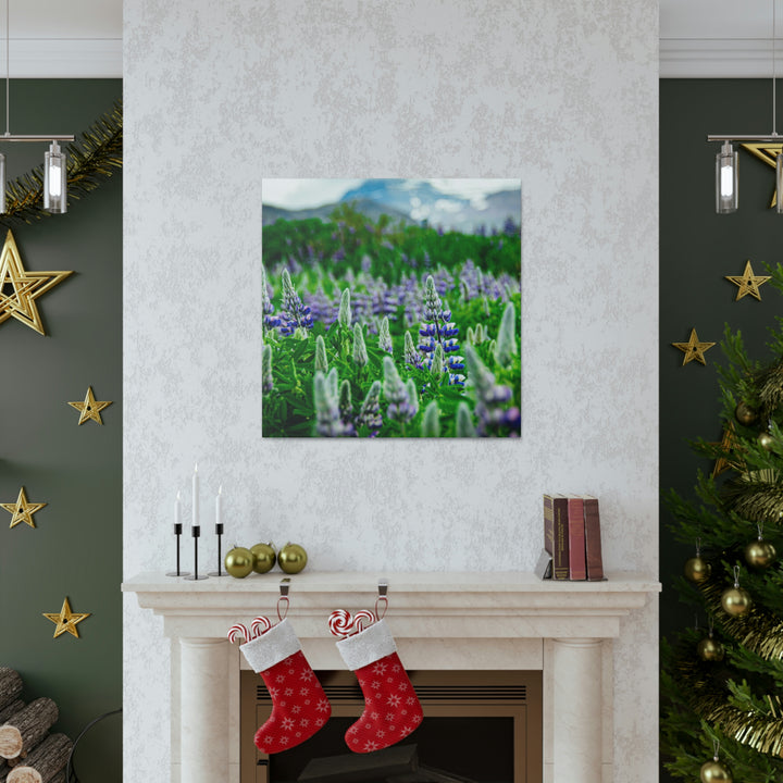 Glowing Lupin with Mountains - Canvas