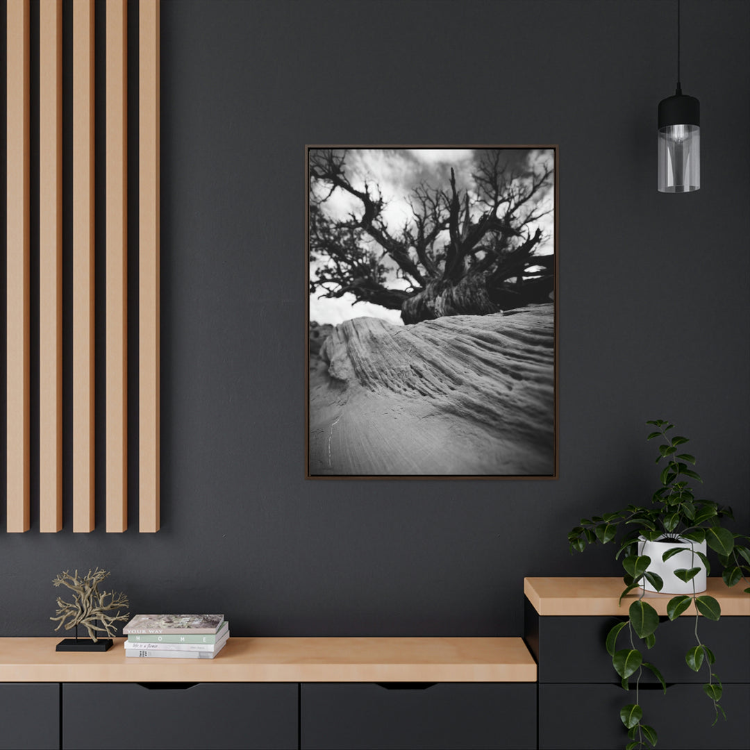 Desert Reach in Black and White - Canvas with Frame