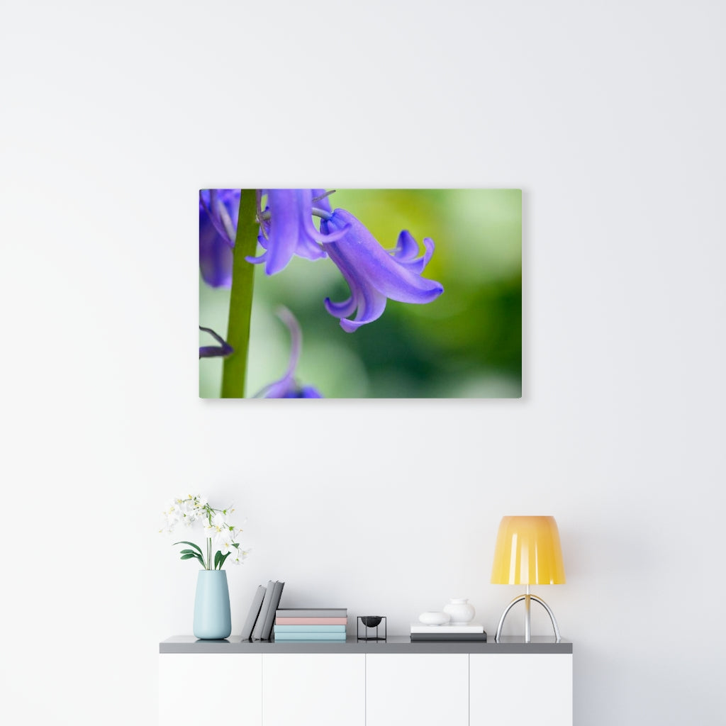 Delicate Bell - Canvas