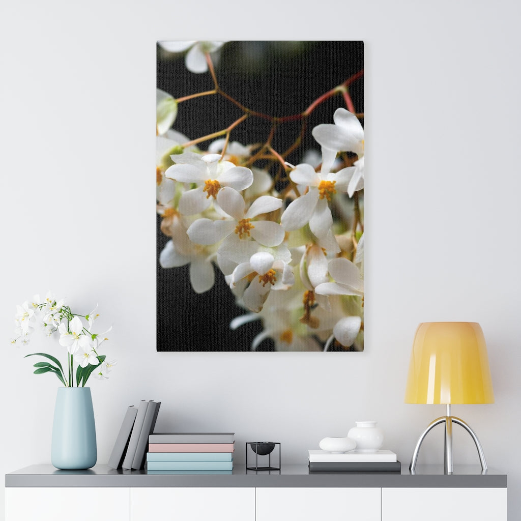 Floral Network - Canvas