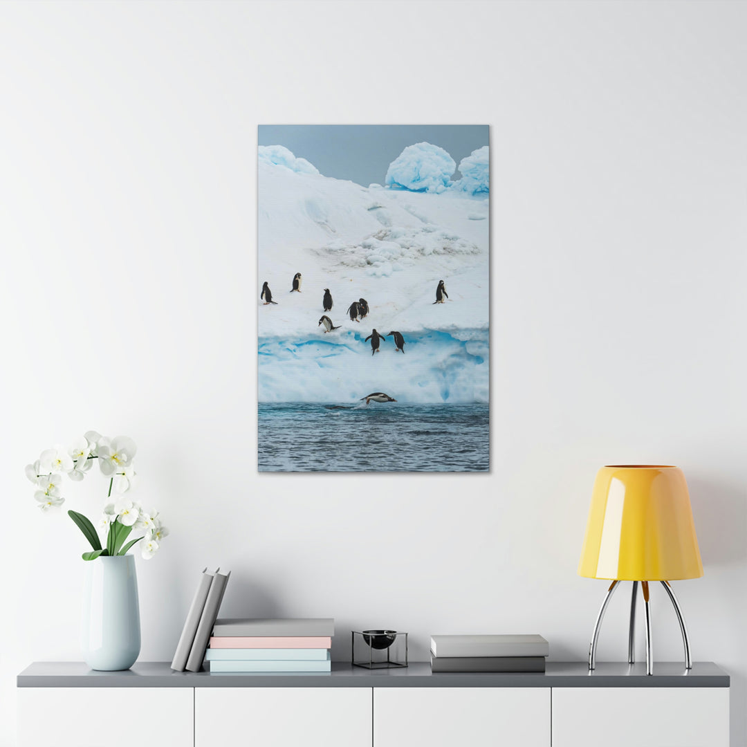 Porpoising Penguin - Canvas