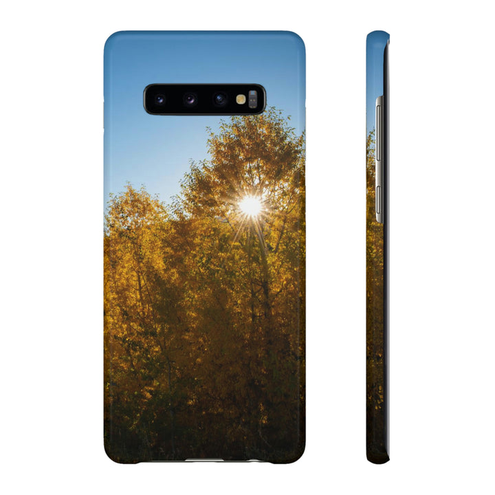 Sun Through the Aspens - Phone Case