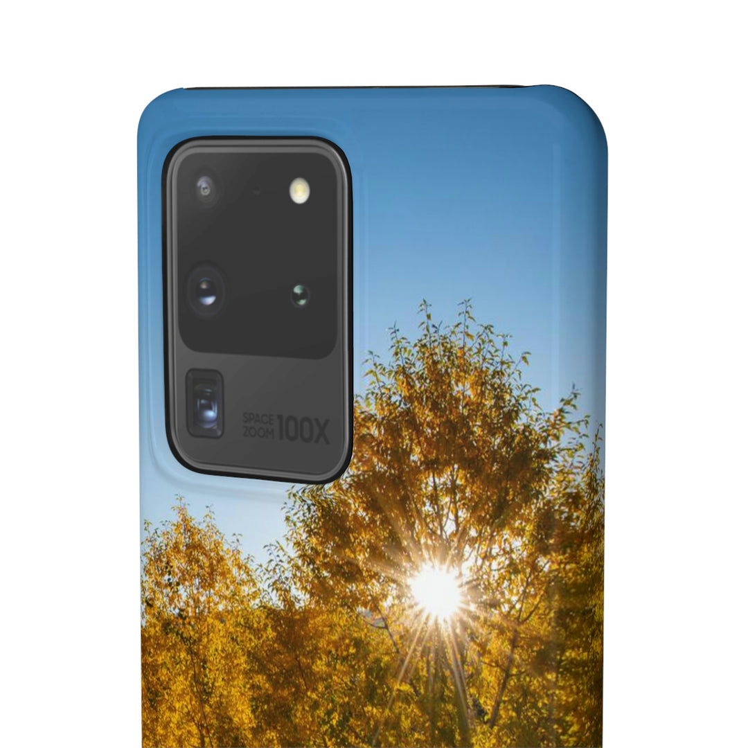 Sun Through the Aspens - Phone Case