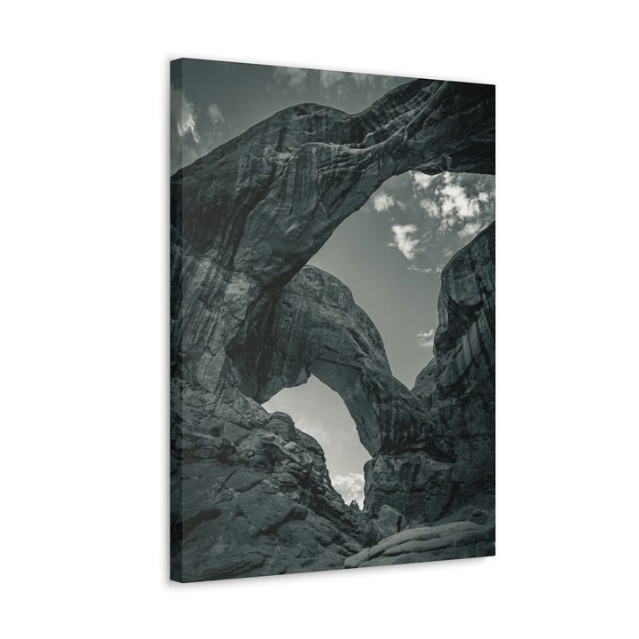 Natural Frames Part 4 in Black and White - Canvas