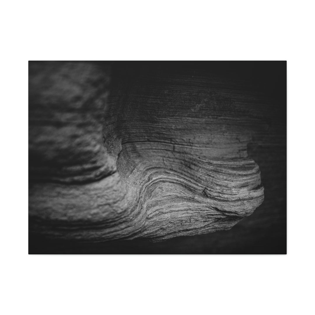 Sedimentary Rock Curves in Black and White - Canvas