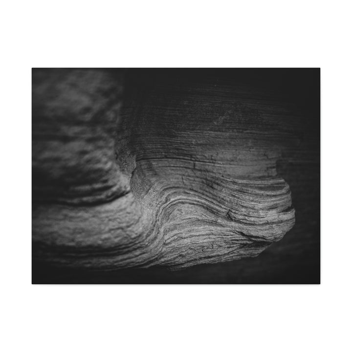 Sedimentary Rock Curves in Black and White - Canvas